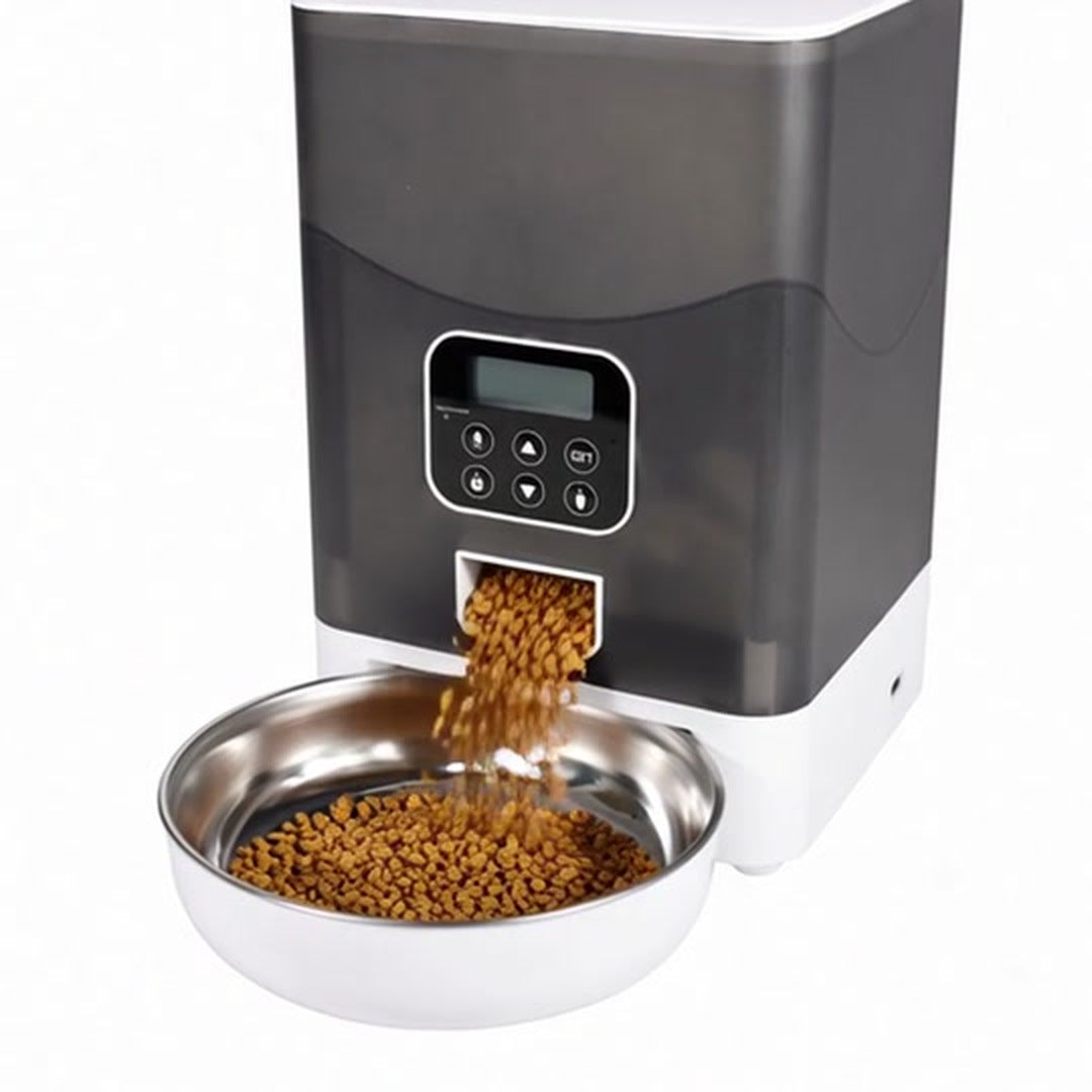 Comedero automático sirviendo la ración de croquetas en el plato de acero